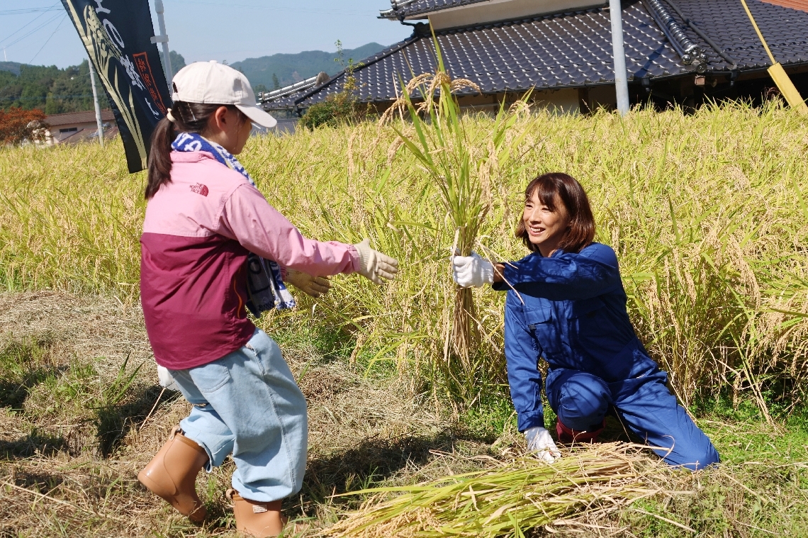 小田小の児童と一緒にひとめぼれを手刈りする小谷実可子さん＝玖珠町小田