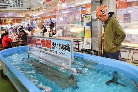 ＪＲ函館駅前の函館朝市にある「活いか釣堀」でイカ釣りを楽しむ観光客＝２３日午後