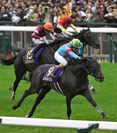 第８６回菊花賞を制したエネルジコ（手前）。中央は２着のエリキング＝京都競馬場