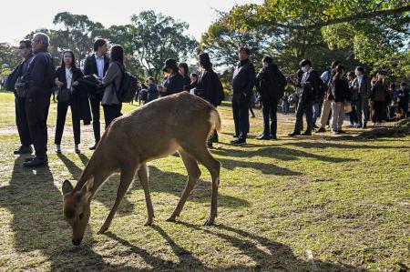 安倍元首相が銃撃され死亡した事件の初公判で、傍聴席を求めて並ぶ大勢の人たち＝２８日午前、奈良市