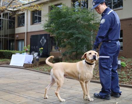 東京税関麻薬探知犬訓練センター室が開いた慰霊祭に参加した探知犬＝５日午前、千葉県成田市
