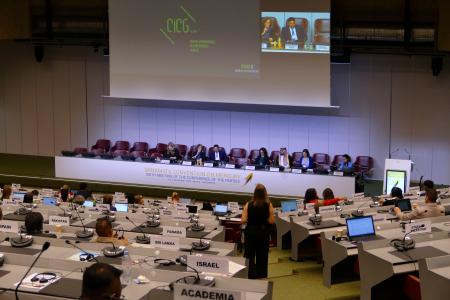 銀歯として虫歯治療に使う「歯科用アマルガム」の製造や輸出入を２０３４年末までに禁止することで合意した水俣条約の締約国会議＝７日、スイス・ジュネーブ（共同）