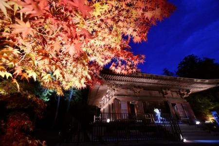 国宝「白水阿弥陀堂」の庭園で見頃を迎えた、紅葉のライトアップの試験点灯＝１３日午後、福島県いわき市