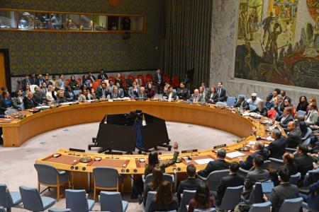 ガザ和平計画を支持する決議を採択する国連安全保障理事会＝１７日、米ニューヨークの国連本部（共同）