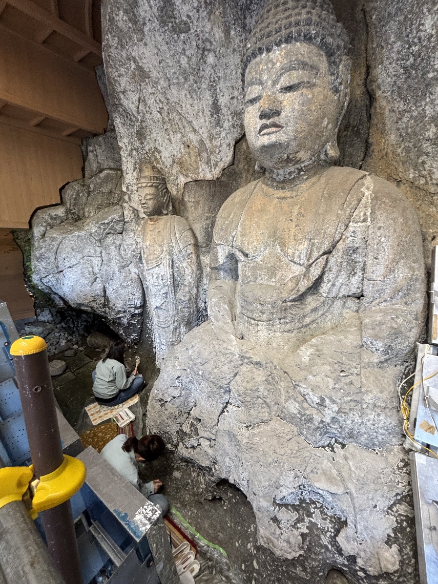 紫外線照射で枯死させたコケなどを筆などで払い落とす＝臼杵市深田