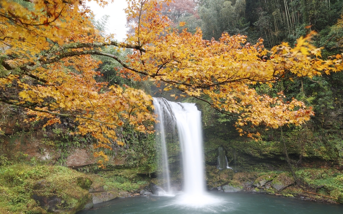 水辺にも秋の彩りが＝２５日、玖珠町山浦の慈恩の滝