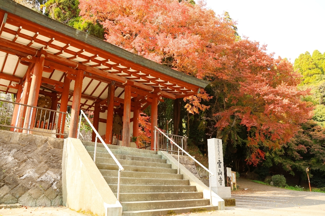 門のそばで鮮やかに色づいた紅葉が、訪れる人を出迎えるよう広がっていた＝２５日、大分市岡川の霊山寺