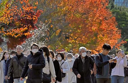 皇居・乾通りの一般公開が始まり、紅葉を楽しむ人たち＝２９日午前