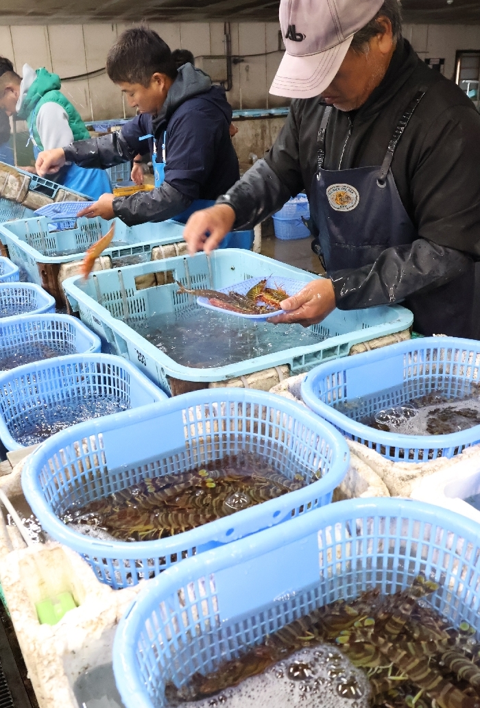 出荷作業に追われる作業員