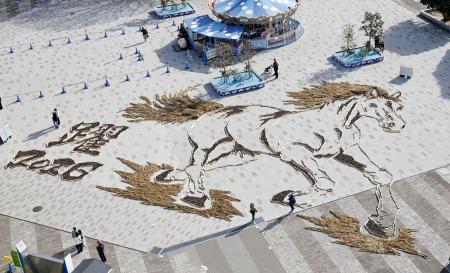 国営ひたち海浜公園で公開されている、来年の干支「午」にちなんだ馬の地上絵。紅葉後のコキアや松ぼっくりなどを使い制作され、園内の大観覧車から迫力ある全貌を見ることができる。公開は来年１月１２日まで＝１３日午後、茨城県ひたちなか市