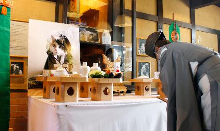 和歌山電鉄貴志駅で営まれた、２代目猫駅長「ニタマ」の社葬＝１３日午後、和歌山県紀の川市