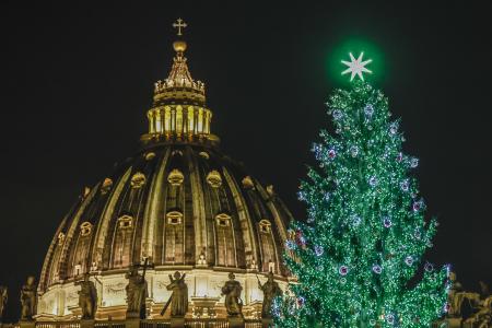 サンピエトロ広場で点灯されたクリスマスツリー＝１５日、バチカン（ゲッティ＝共同）