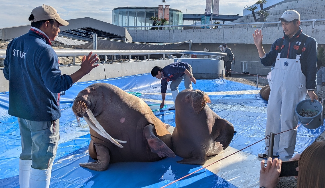 ふれあいタイムに登場した、いちこと母親の泉