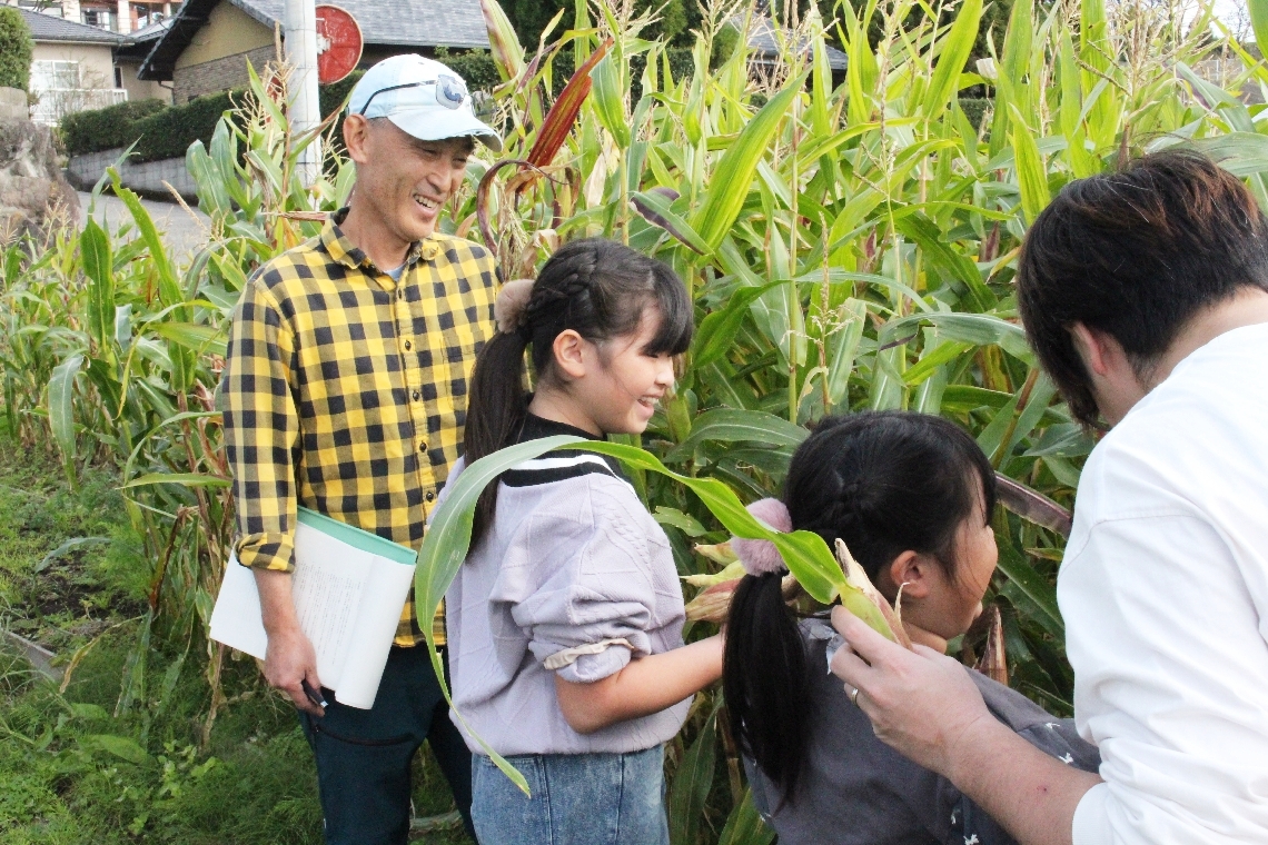 高松修さん（左端）に教わりながらトウモロコシの収穫をする畦森さん家族
