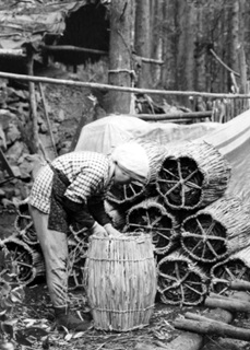 昭和100年 おおいたアーカイブス - 大分のニュースなら 大分合同新聞