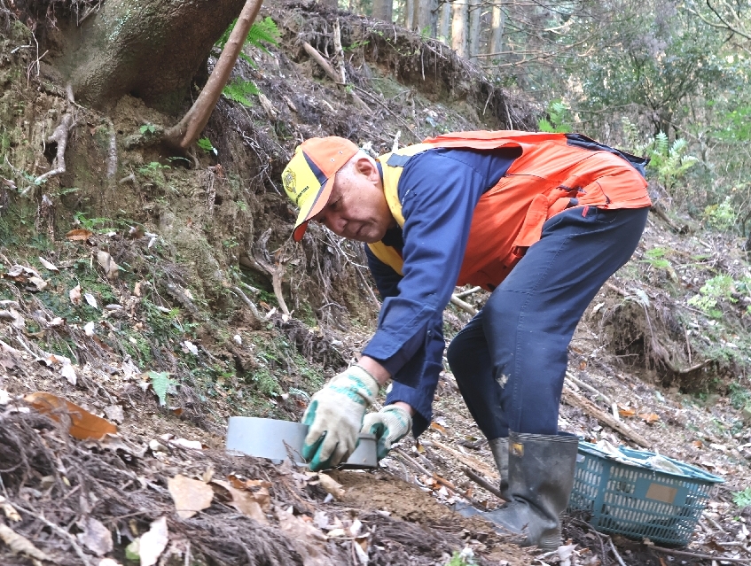 けもの道にくくりわなを仕掛ける遠藤源治さん＝１２月、臼杵市海添
