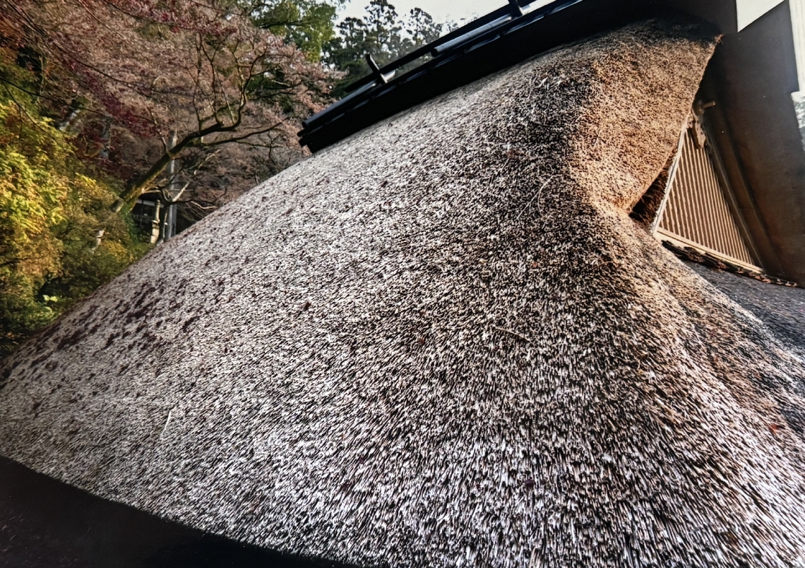 三苫さんが修理を手がけた大興善寺（佐賀県）本堂のかやぶき屋根（三苫さん提供）