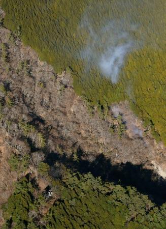 神奈川県秦野市の山中で発生した火災＝１１日午後２時８分（共同通信社ヘリから）