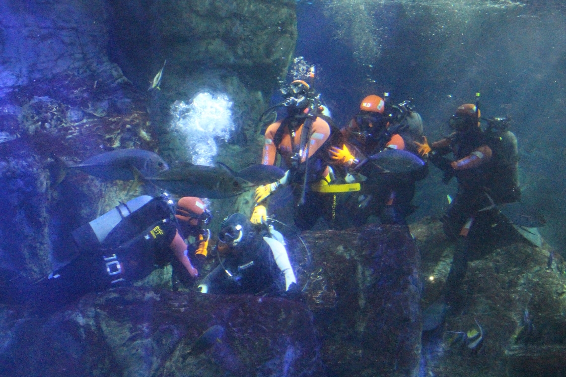 水槽内の岩場に足を挟まれたダイバー（写真中央）を助け出す大分海上保安部の潜水士