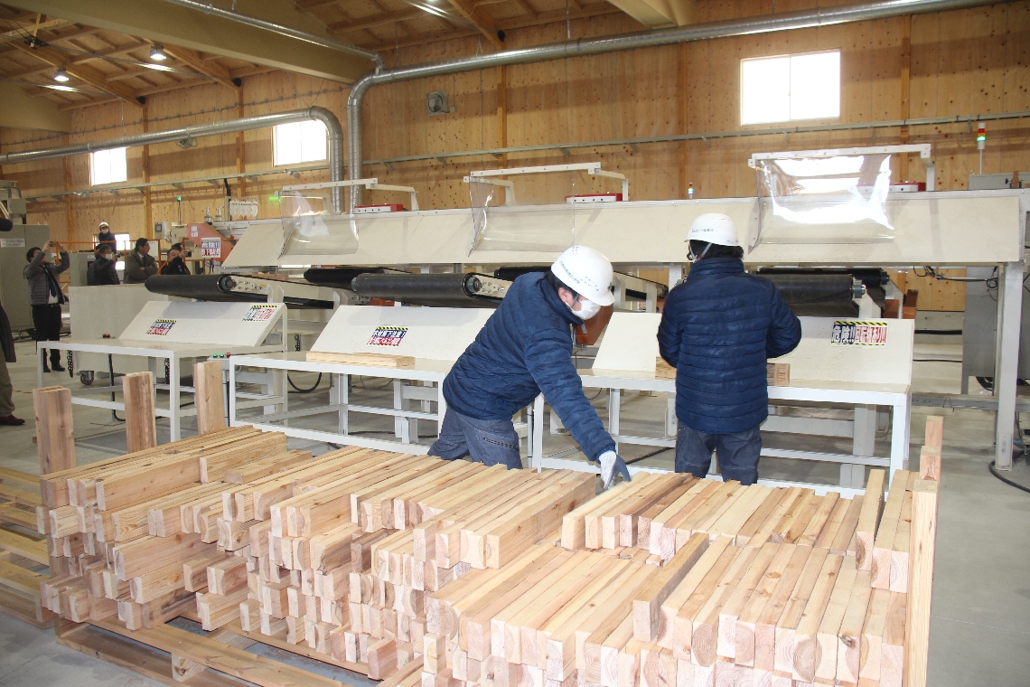 大径材を加工する施設内部