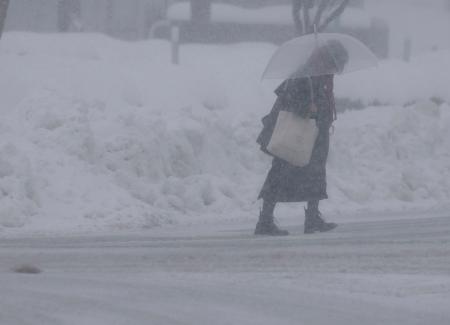 新潟県長岡市で雪が降る中を歩く人＝２２日午後