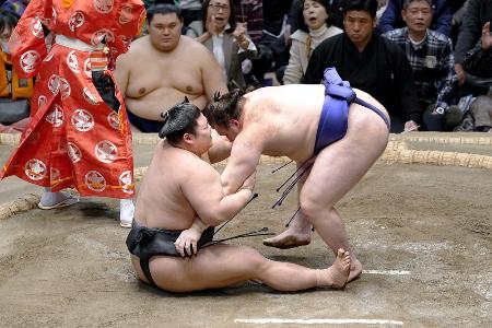 安青錦（右）に下手投げで敗れた伯乃富士＝２１日、両国国技館