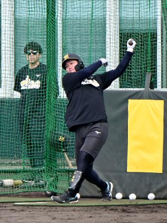 合同自主練習で打撃練習する阪神・森下＝沖縄県宜野座村