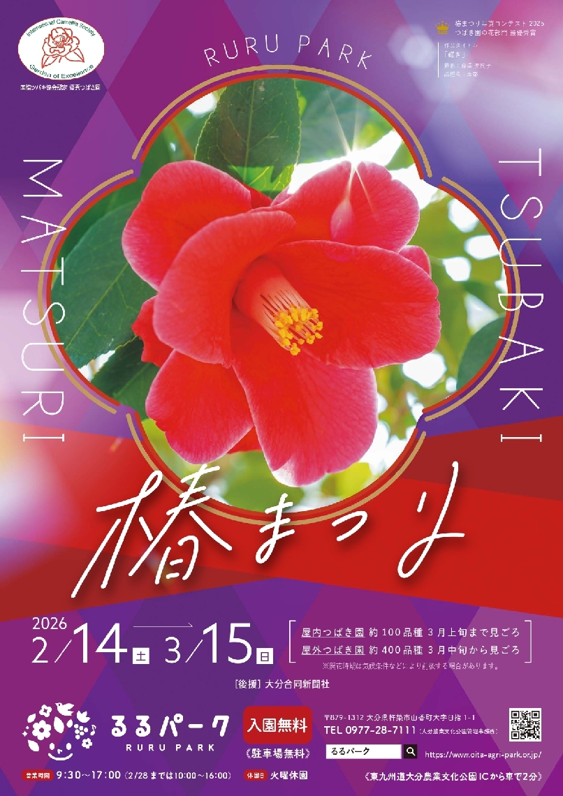 １４日から始まる「椿まつり」のチラシ