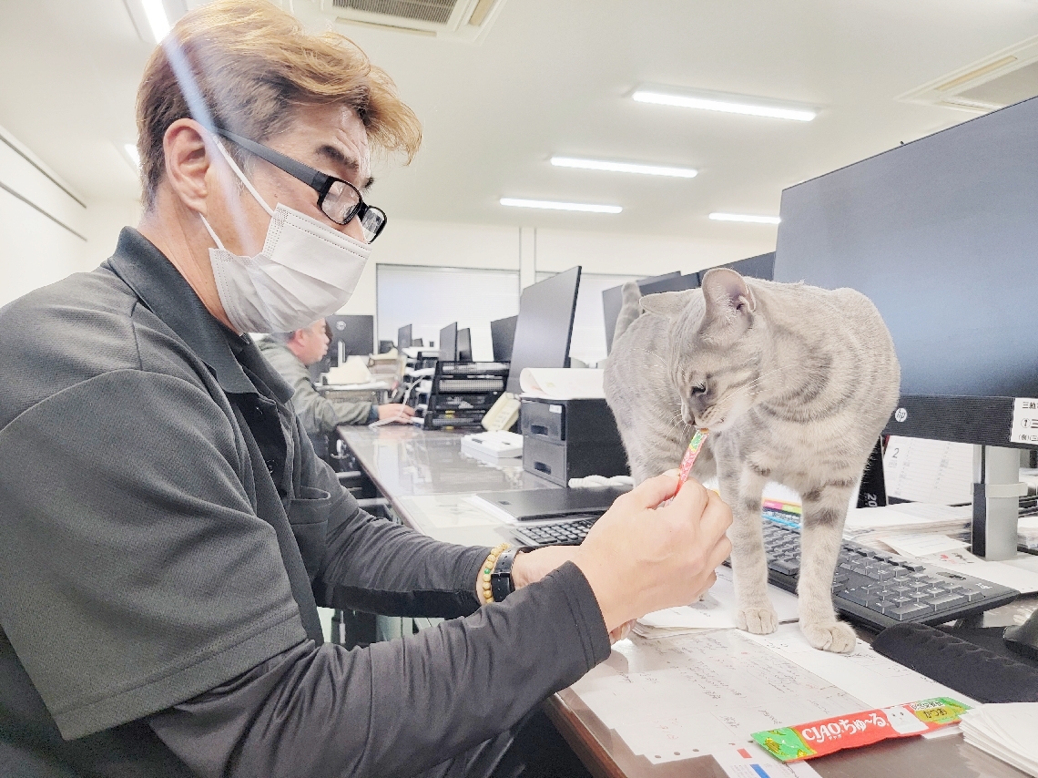 保護されて間もない頃の動画が、１９０万回再生された嵐