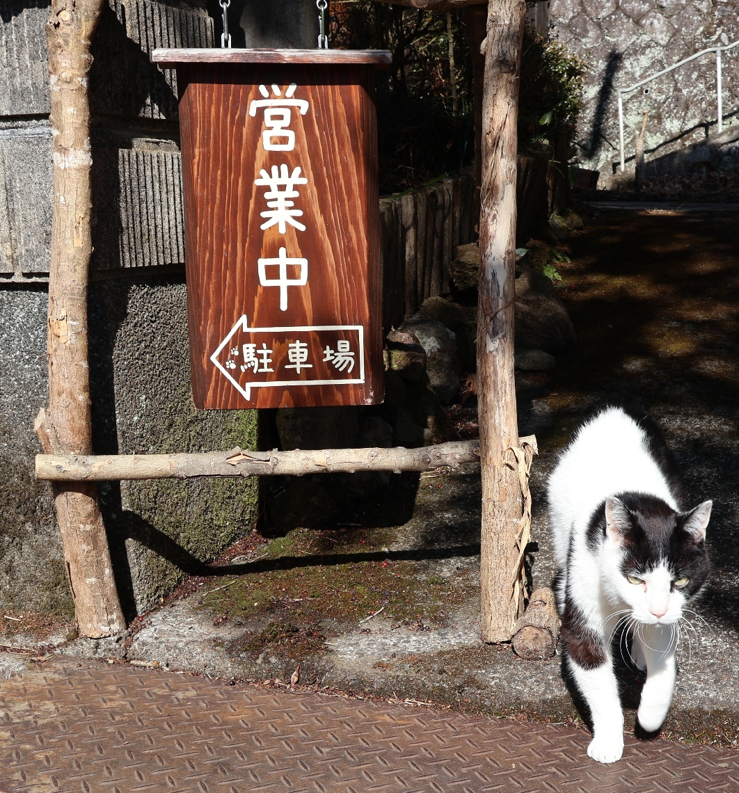 外に出てお見送りをする蓮