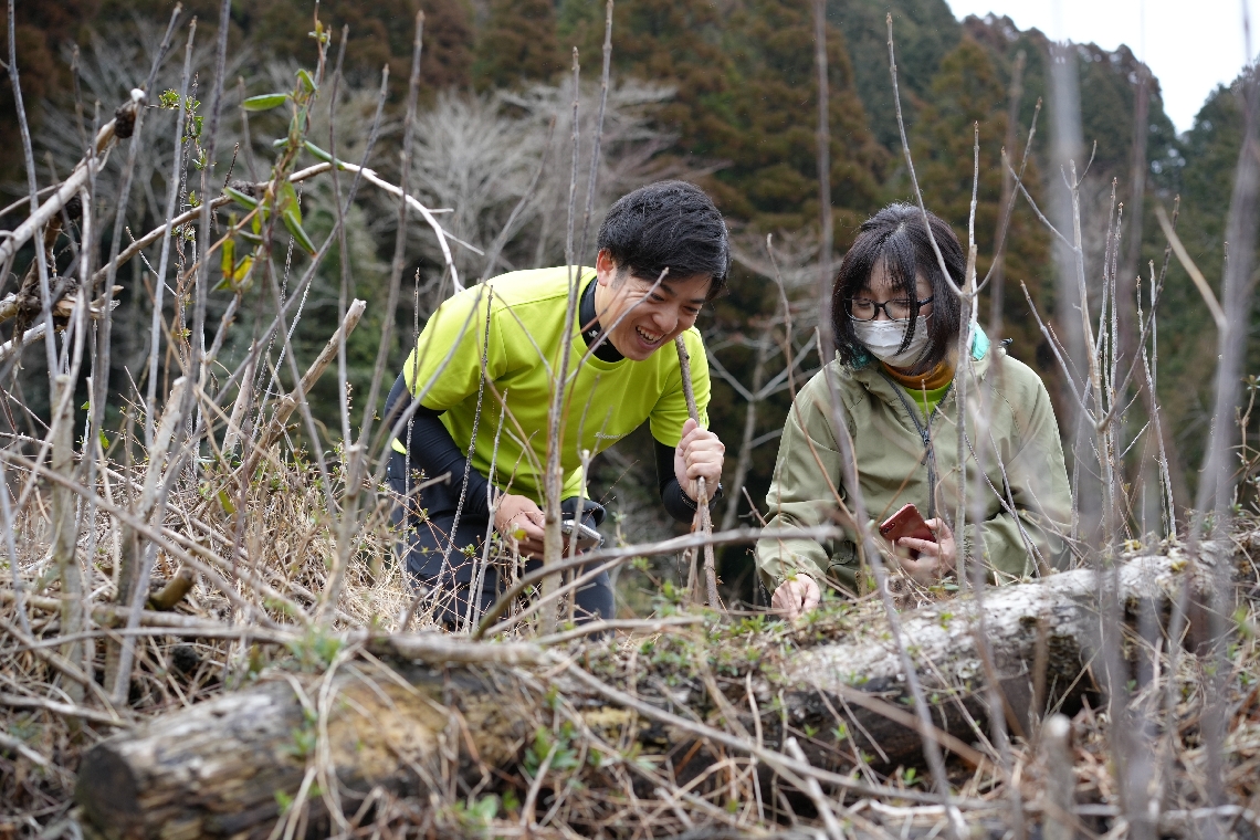 スマホを手に生物多様性調査を進めるソラシドエアの社員ら＝日田市中津江村のソラシドの森