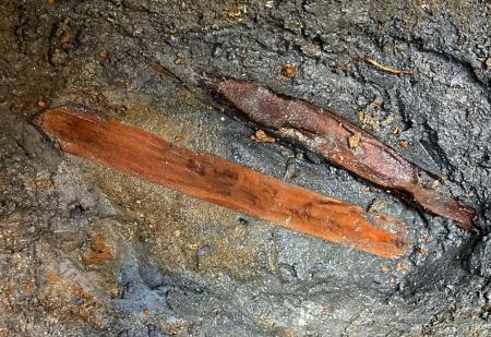 甘樫丘遺跡群から出土した木簡（明日香村教育委員会提供）