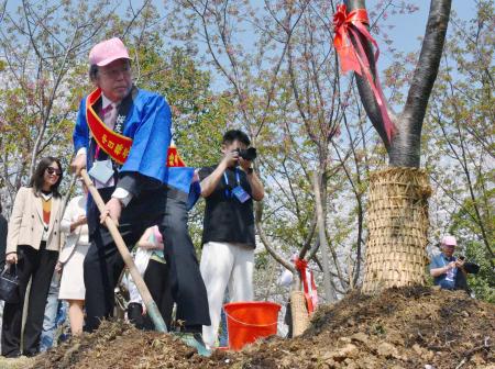 ２０２５年３月、桜の木を植樹する日中共同建設桜友誼林保存協会の新発田豊会長＝中国江蘇省無錫市（共同）