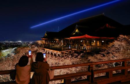 春の夜間特別拝観が始まるのを前に、試験点灯でライトアップされた京都市東山区の清水寺。約千本の桜が照明に照らされ、清水の舞台を幻想的に彩った＝２６日夜