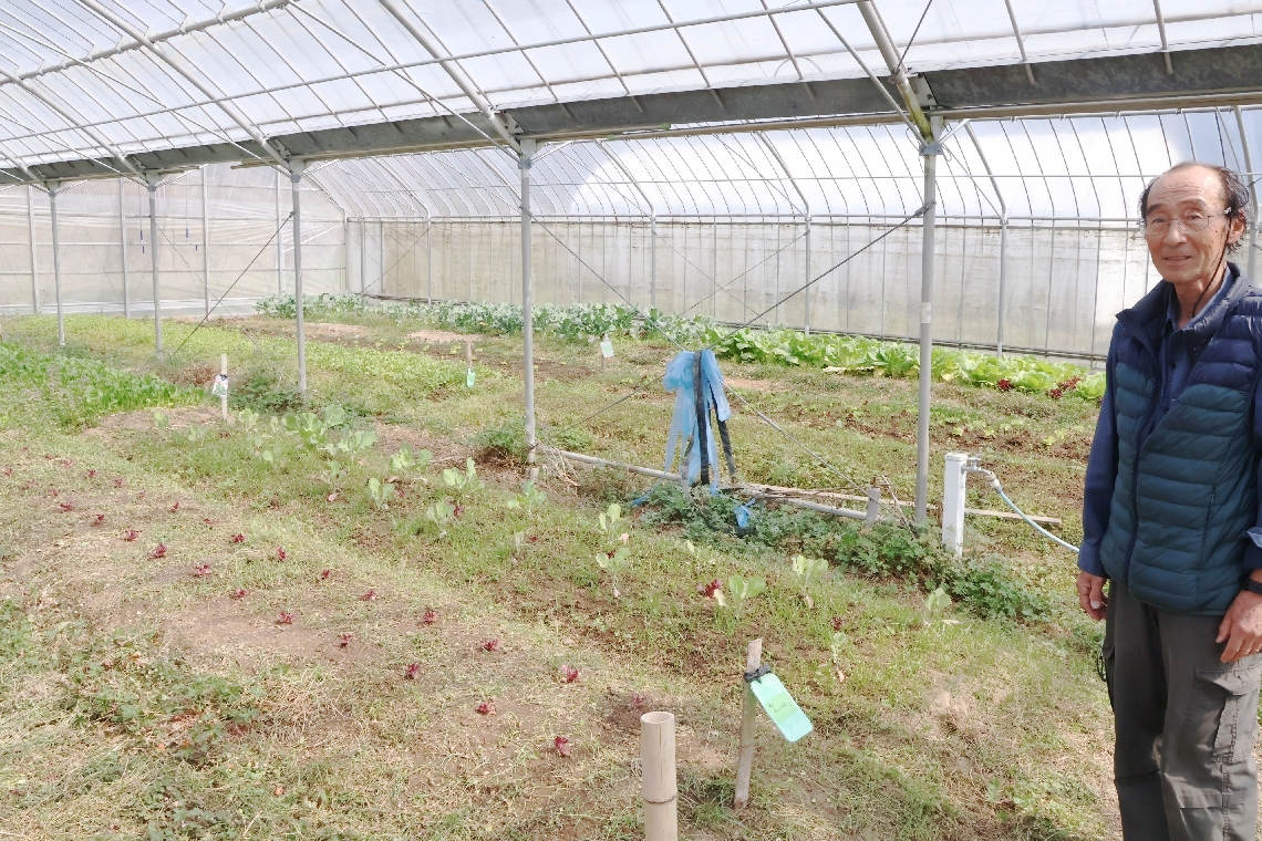 ビニールハウスで実践している不耕起栽培について説明する荘司豊施設長