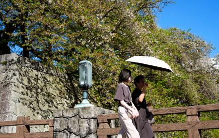 日傘を差して静岡市内を歩く人たち＝１１日午後