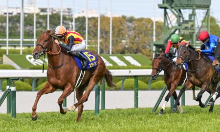 第８６回桜花賞を制したスターアニス（左）＝阪神競馬場