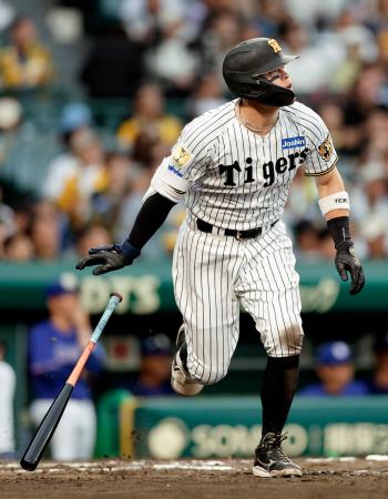 ７回阪神無死、佐藤が中越えに本塁打を放つ＝甲子園