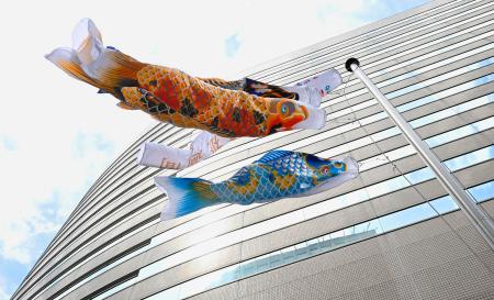 東京・霞が関の空を泳ぐこいのぼり＝２０日午前