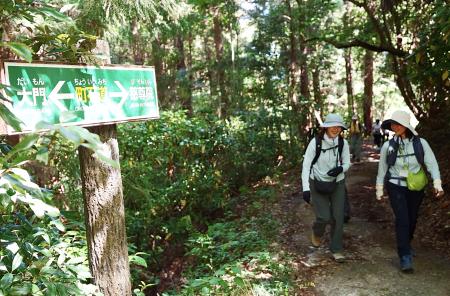７年ぶりに開催された「高野参詣道町石道登山」＝２４日午前、和歌山県九度山町