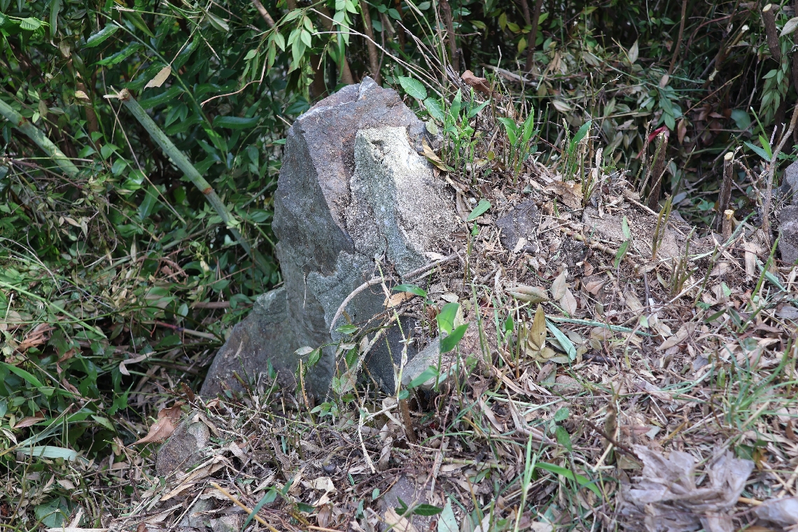 佐伯海軍防備隊の送信所跡とみられる遺構。石の上にわずかにコンクリートが残っている＝５月、佐伯市蛇崎