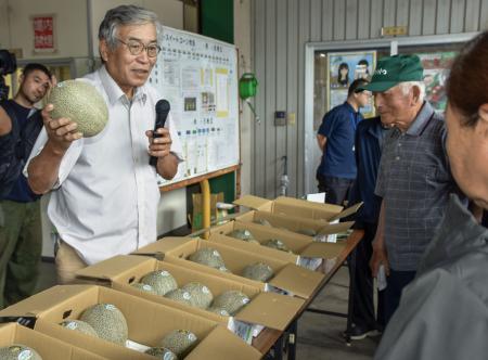 「大山メロン」の査定会で出来栄えを確認する関係者＝２２日午前、鳥取県大山町