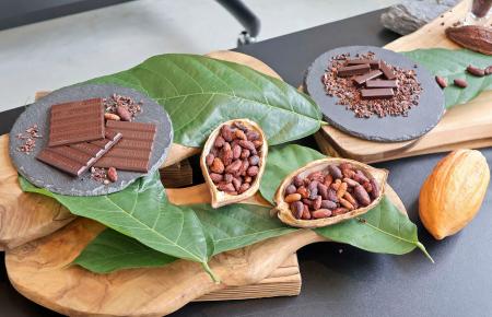 お披露目された国産カカオ豆を１００％使ったチョコレート＝２４日午後、三重県多気町