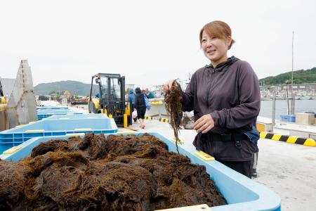 水揚げされたモズクを持つ「輪島の海女漁保存振興会」の門木奈津希会長＝１日午前、石川県輪島市の輪島港