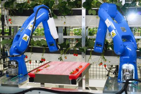 イチゴ収穫用のロボットアームが動く栽培室＝５日、東京都羽村市