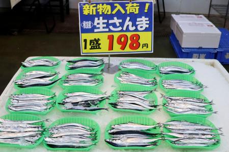 北海道根室市の花咲港で水揚げされ、市内の鮮魚店に並ぶサンマ＝１３日午後