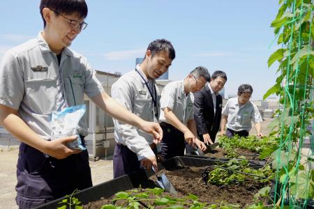 ホップの手入れをするＪＲ東日本東京総合車両ベースの社員ら＝５月、東京都品川区