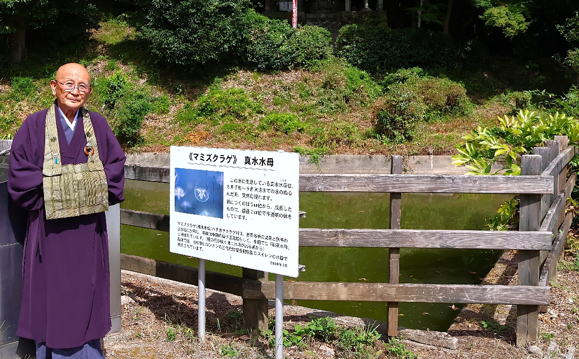 マミズクラゲが泳いでいる泉福寺の池と最勝孝道住職