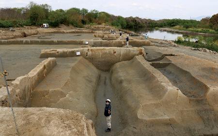 京都市伏見区の桂川西岸の遺跡で見つかった、「中世淀城」の一画と考えられる堀の遺構＝４月（市埋蔵文化財研究所提供）