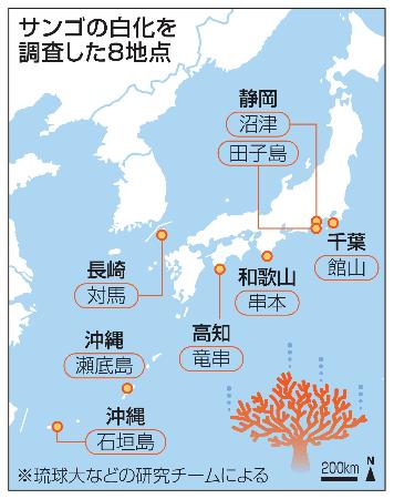 サンゴの白化を調査した８地点